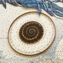 Load image into Gallery viewer, Broadford Mermen