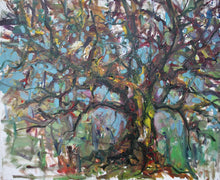 Load image into Gallery viewer, Ancient Birch, Migdale