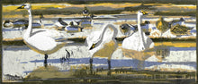 Load image into Gallery viewer, Bewick's Swans & Pintails
