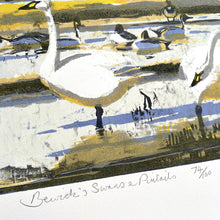 Load image into Gallery viewer, Bewick's Swans & Pintails