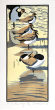 Load image into Gallery viewer, Five Lapwings