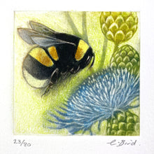 Load image into Gallery viewer, Foraging Bumblebee