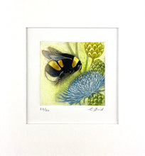 Load image into Gallery viewer, Foraging Bumblebee