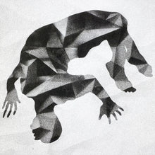 Load image into Gallery viewer, Forgone Conclusions