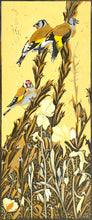 Load image into Gallery viewer, Goldfinches & Evening Primroses