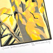 Load image into Gallery viewer, Great Spotted Woodpecker