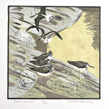 Load image into Gallery viewer, Greenshanks