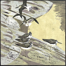 Load image into Gallery viewer, Greenshanks