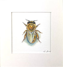 Load image into Gallery viewer, Honeybee Study IX