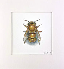 Load image into Gallery viewer, Honeybee Study VII
