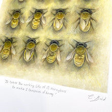 Load image into Gallery viewer, It Takes the Working Life of 12 Honeybees to Make 1 Teaspoon of Honey