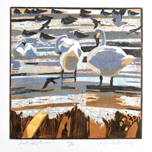 Load image into Gallery viewer, Late September