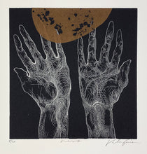 Load image into Gallery viewer, Nest