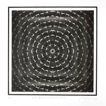 Load image into Gallery viewer, No Blemish But the Mind