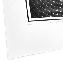 Load image into Gallery viewer, No Blemish But the Mind