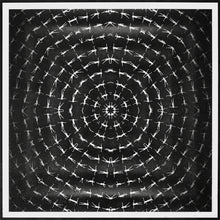 Load image into Gallery viewer, No Blemish But the Mind