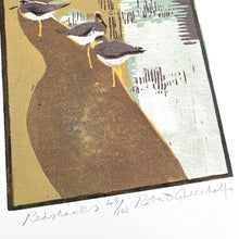 Load image into Gallery viewer, Redshanks