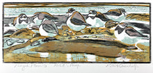Load image into Gallery viewer, Ringed Plovers