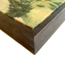 Load image into Gallery viewer, Rosehaugh, The Land that Lay Between the Hills