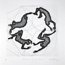 Load image into Gallery viewer, Shape of Nature