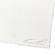 Load image into Gallery viewer, Storm Waves II