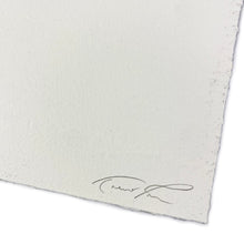 Load image into Gallery viewer, Storm Waves VI