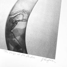 Load image into Gallery viewer, The Verge of His Confine