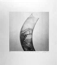 Load image into Gallery viewer, The Verge of His Confine