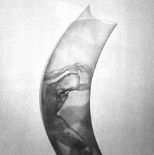 Load image into Gallery viewer, The Verge of His Confine