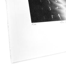 Load image into Gallery viewer, Toil and Trouble