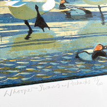 Load image into Gallery viewer, Whooper Swans & Pochards