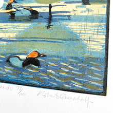 Load image into Gallery viewer, Whooper Swans & Pochards