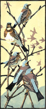 Load image into Gallery viewer, Winter Thrushes