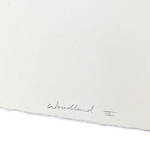 Load image into Gallery viewer, Woodland III