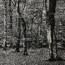 Load image into Gallery viewer, Woodland III
