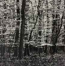 Load image into Gallery viewer, Woodland IV