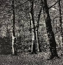 Load image into Gallery viewer, Woodland I