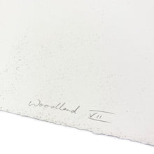 Load image into Gallery viewer, Woodland VII