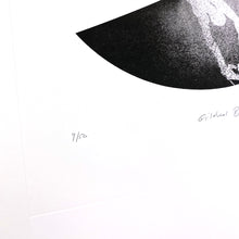 Load image into Gallery viewer, Gilded Butterflies