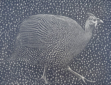 Load image into Gallery viewer, How the Guinea Fowl Lost its Spots
