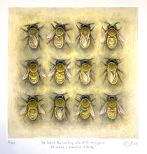 Load image into Gallery viewer, It Takes the Working Life of 12 Honeybees to Make 1 Teaspoon of Honey