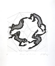 Load image into Gallery viewer, Shape of Nature