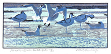 Load image into Gallery viewer, Avocets & Black-headed Gulls