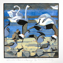 Load image into Gallery viewer, Bewick's Swans & Lapwings