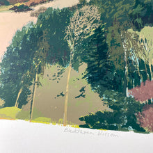 Load image into Gallery viewer, Blackthorn Blossom