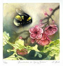 Load image into Gallery viewer, Bumblebee on Spring Blossom