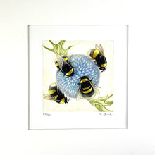 Load image into Gallery viewer, Bumblebees on Echinops