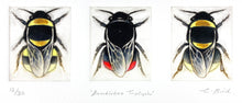 Load image into Gallery viewer, Bumblebee Triptych