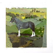 Load image into Gallery viewer, Clydesdale