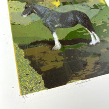Load image into Gallery viewer, Clydesdale